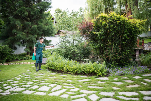 Best Residential Pest Control  in Ford Heights, IL