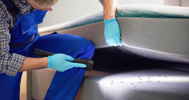Best Insect Control  in Ford Heights, IL