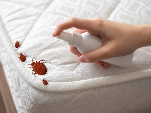 Trusted Ford Heights, IL Pest Control Experts
